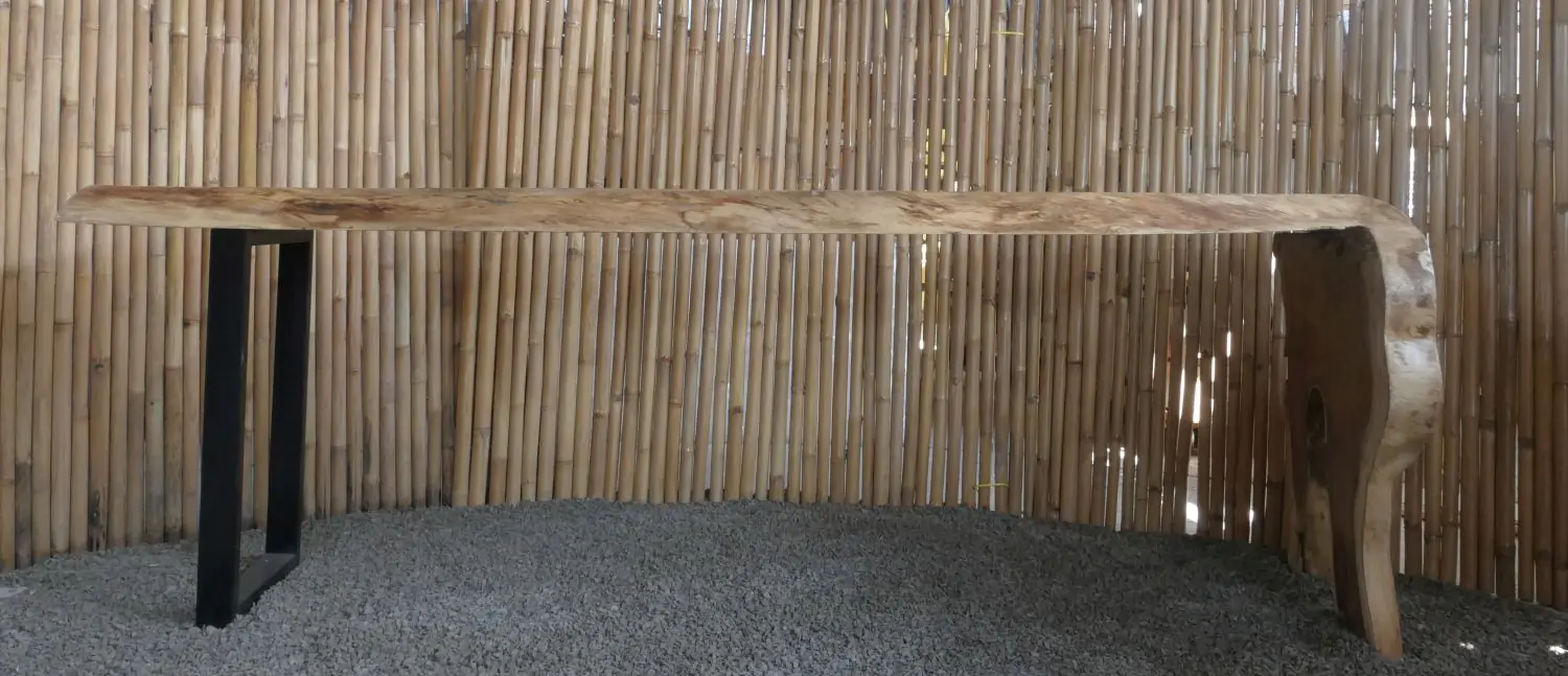  Product image 5 of the product “Unique Bar table from one piece of suar wood, including the part of root as foot, approx. 300cm lenght, 80cm width, and 100cm height. The shape may vary. ”